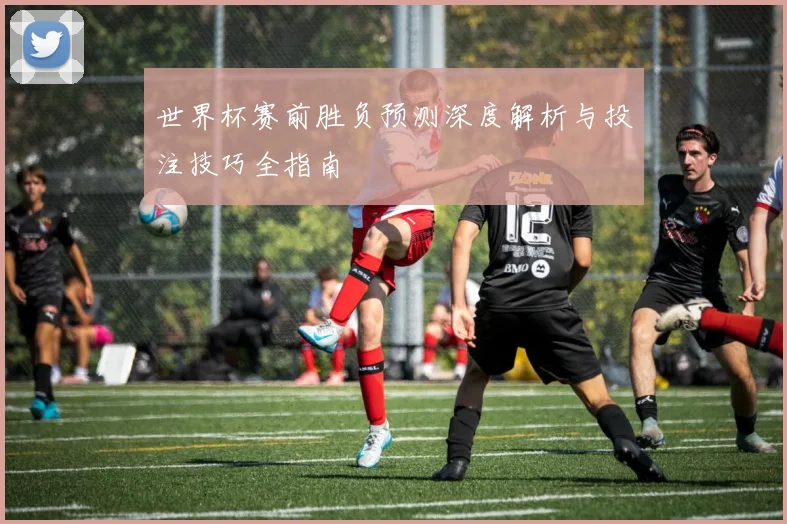 世界杯赛前胜负预测深度解析与投注技巧全指南