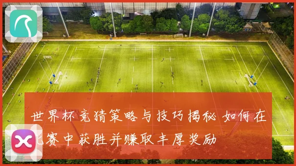 世界杯竞猜策略与技巧揭秘 如何在比赛中获胜并赚取丰厚奖励